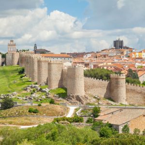 Excursión a Ávila y Segovia